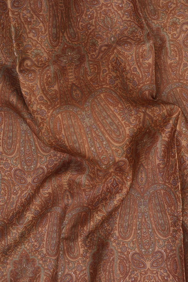 Printed Silk Saree In Light Brown With Paisley Design