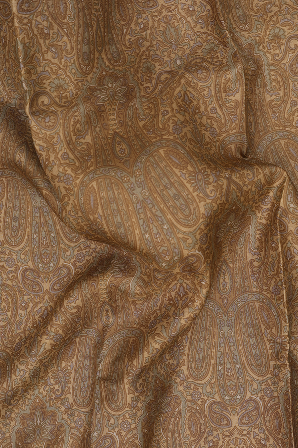 Printed Silk Saree In Light Brown With Paisley Design