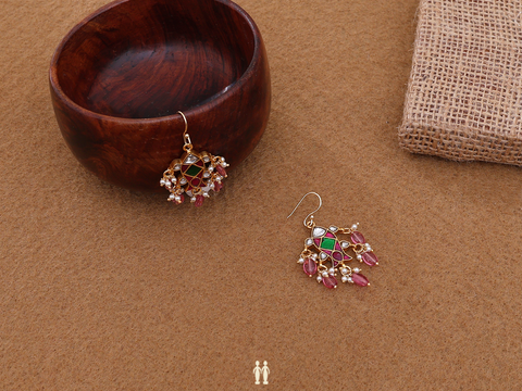 Fish Design With Tricolor Stone Gold Plated Hook Earrings