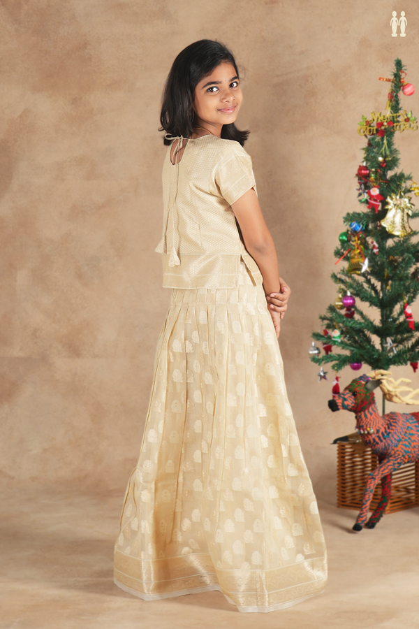 Floral Buttas Pale Brown Kota Pavadai Sattai