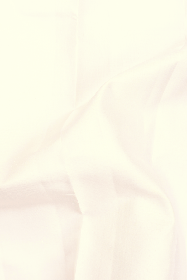 Kanchipuram Silk Saree In White With Twill Weave Border