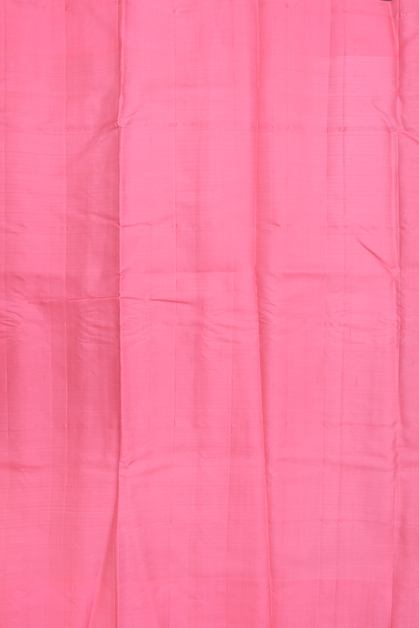 Gadwal Silk Cotton Saree In Pear Green With Silk Border