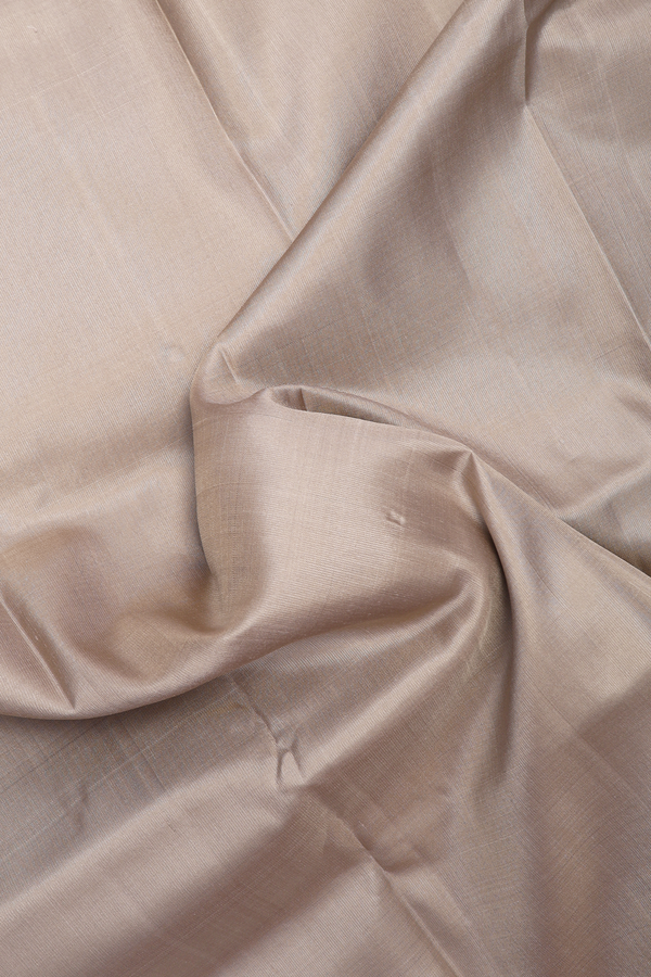 Gadwal Silk Saree In Pastel Khaki With Contrast Border