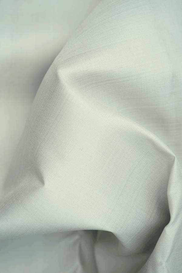 Ganga Jamuna Border Plain Mouse Grey Kanchipuram Silk Saree