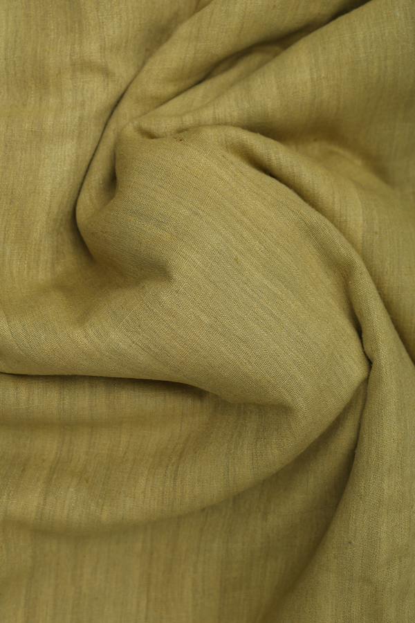Handloom Cotton Saree In Pear Green With Zari Border