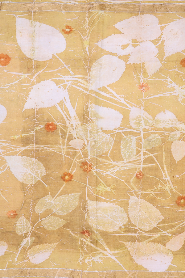 Kanchipuram Silk Saree Golden Yellow With Natural Dye Printed