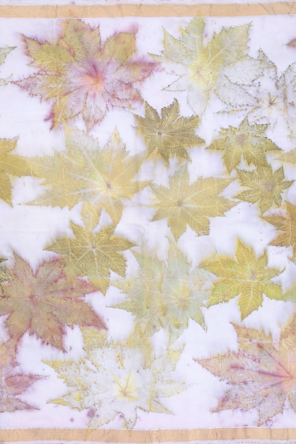 Kanchipuram Silk Saree In White  With Natural Dye Printed