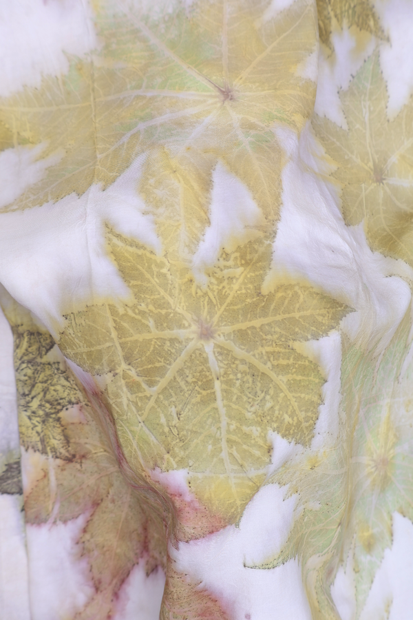 Kanchipuram Silk Saree In White  With Natural Dye Printed