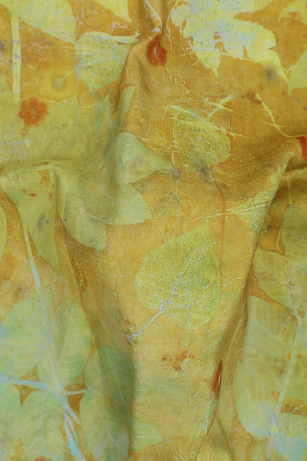 Kanchipuram Silk Saree In Green With Natural Dye Printed