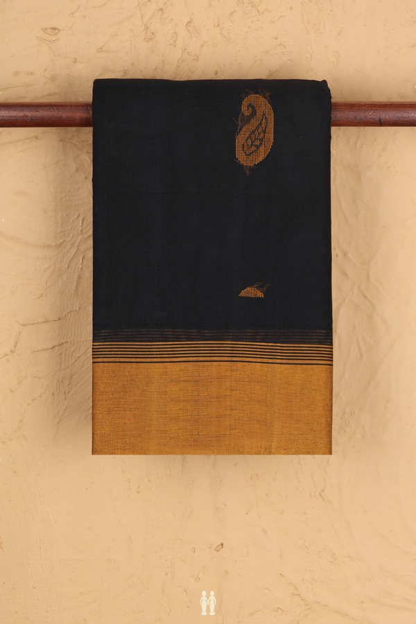 Kanchi Cotton Saree In Black With Paisley Buttas