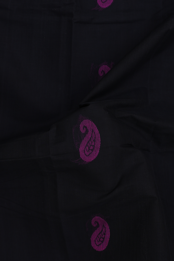 Kanchi Cotton Saree In Black With Paisley Buttas