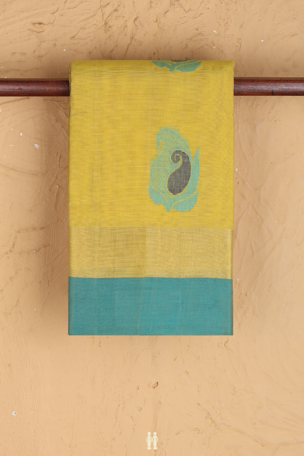 Kanchi Cotton Saree In Yellow With Paisley Motifs