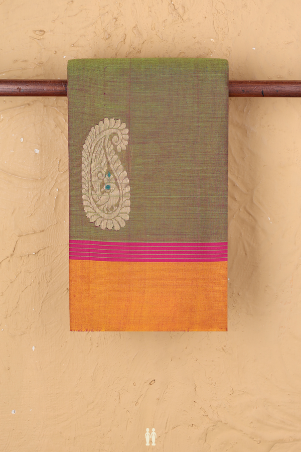 Kanchi Cotton Saree In Dual Tone With Paisley Border