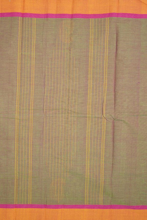 Kanchi Cotton Saree In Dual Tone With Paisley Border