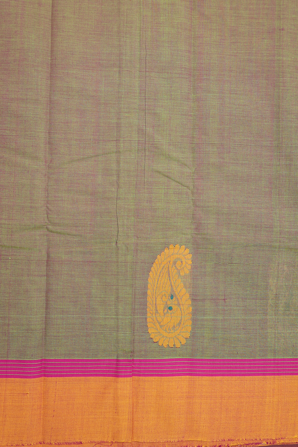 Kanchi Cotton Saree In Dual Tone With Paisley Border