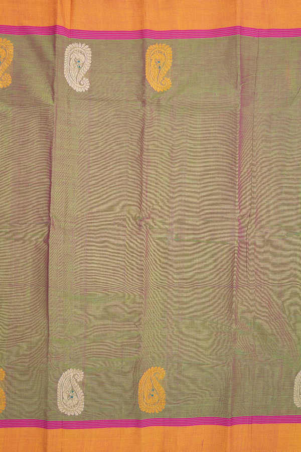 Kanchi Cotton Saree In Dual Tone With Paisley Border