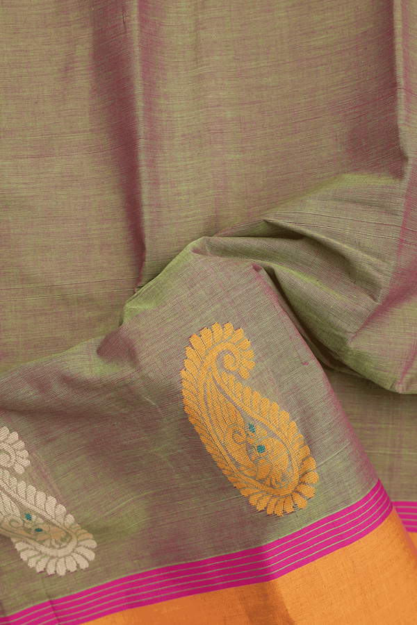 Kanchi Cotton Saree In Dual Tone With Paisley Border