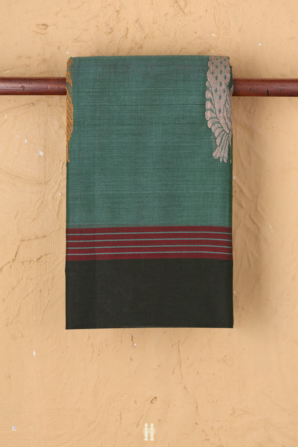 Kanchi Cotton Saree In Dusty Green With Peacock Border