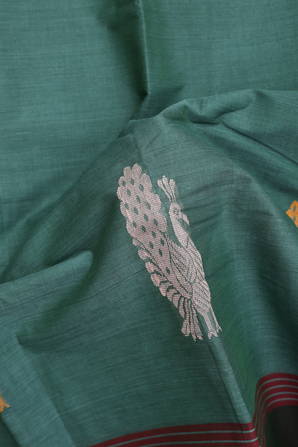 Kanchi Cotton Saree In Dusty Green With Peacock Border