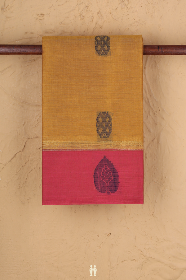 Kanchi Cotton Saree In Ochre Orange With Threadwork Buttas