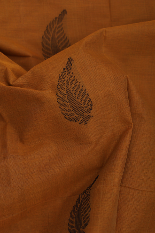 Kanchi Cotton Saree In Ochre Orange With Threadwork Motifs