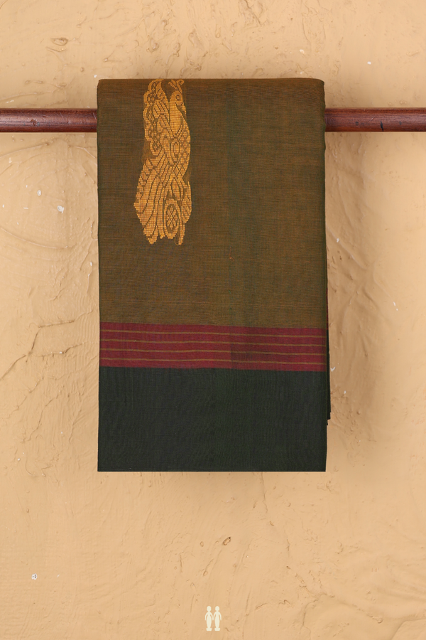Kanchi Cotton Saree In Dual Tone With Peacock Border