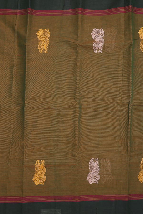 Kanchi Cotton Saree In Dual Tone With Peacock Border