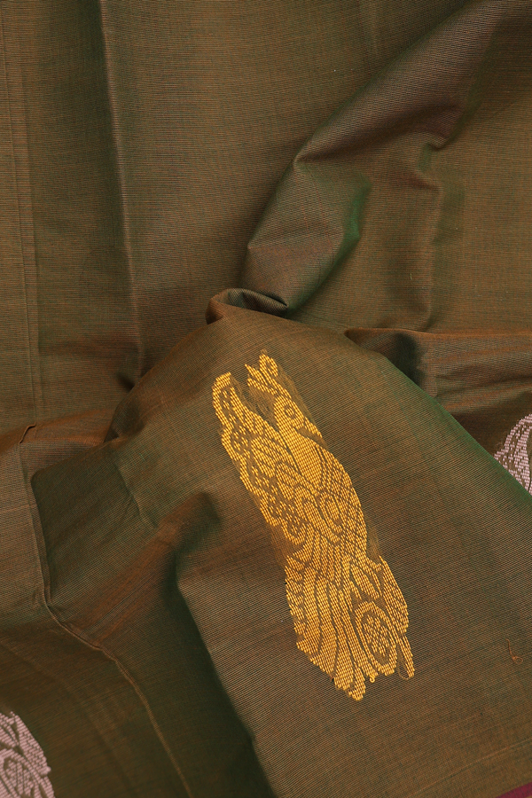 Kanchi Cotton Saree In Dual Tone With Peacock Border