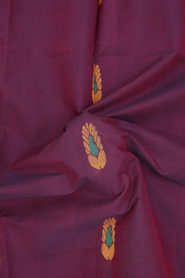 Kanchi Cotton Saree In Plum Brown With Paisley Buttas
