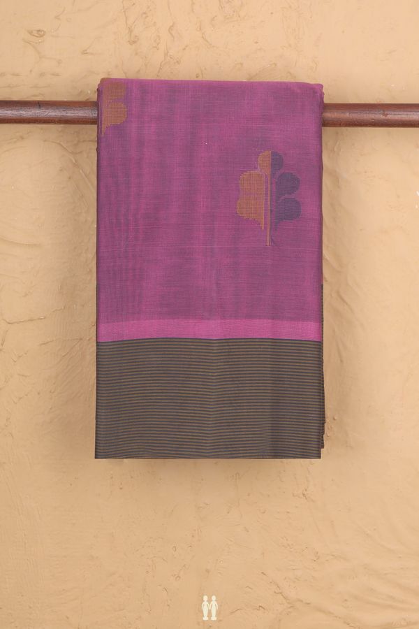 Kanchi Cotton Saree In Purple With Threadwork Buttas
