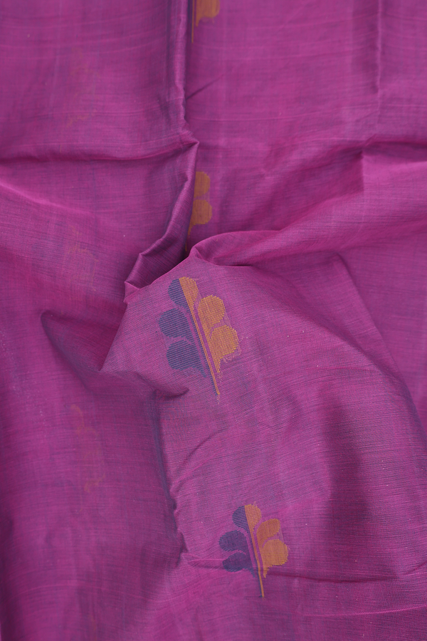 Kanchi Cotton Saree In Purple With Threadwork Buttas