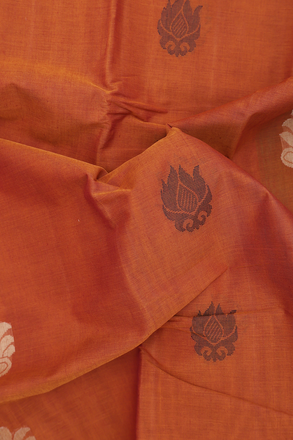 Kanchi Cotton Saree In Saddle Brown With Threadwork Buttas