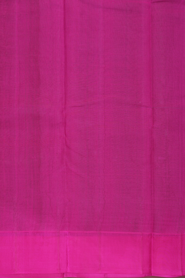 Kanchi Cotton Saree In Sage Green With Contrast Silk Border