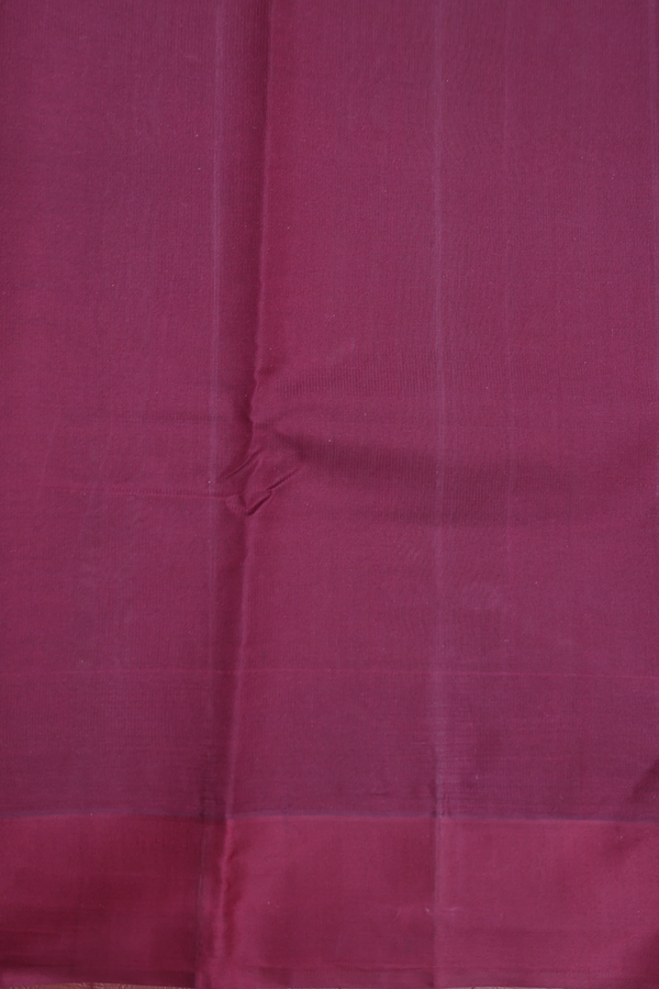 Kanchi Cotton Saree In Sage Green With Contrast Silk Border