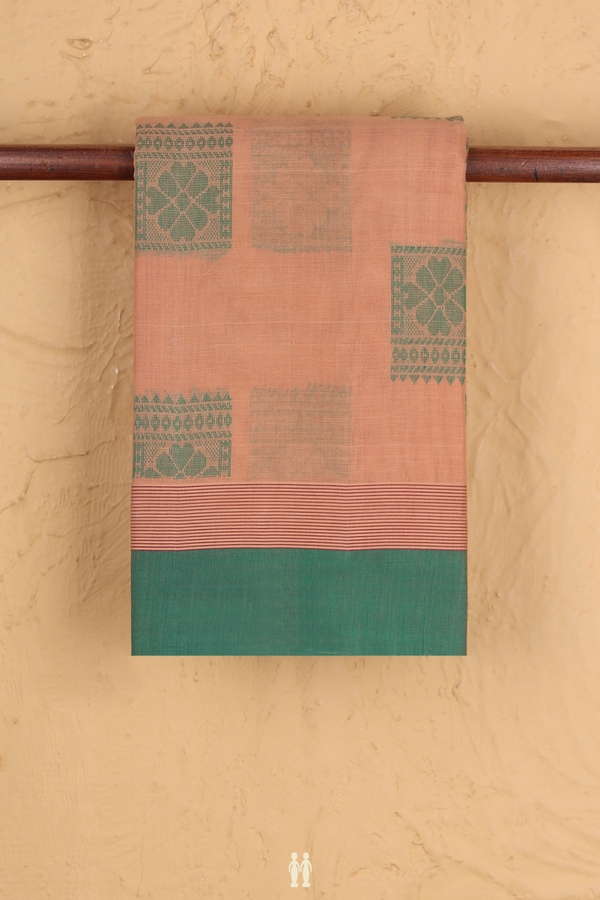 Kanchi Cotton Saree In Tan Brown With Threadwork Buttas