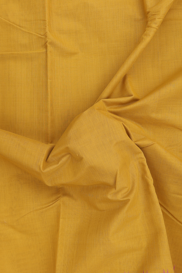 Kanchi Cotton Saree In Yellow With Contrast Silk Border
