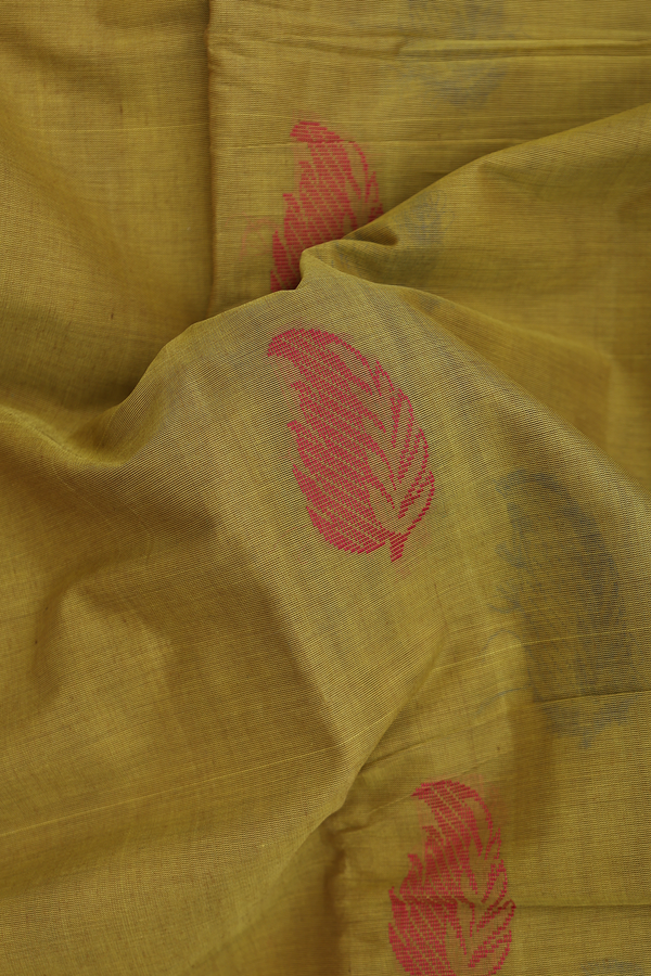 Kanchi Cotton Saree In Olive Yellow With Threadwork Motifs