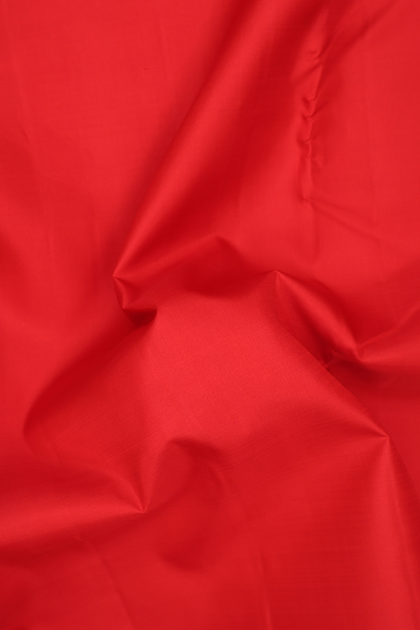 Kanchipuram Nine Yards Silk Saree In Red With Zari Border