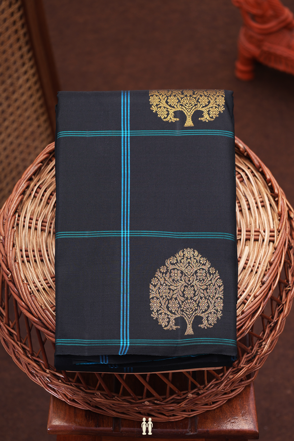 Kanchipuram Silk Saree In Black Along Checks With Motifs