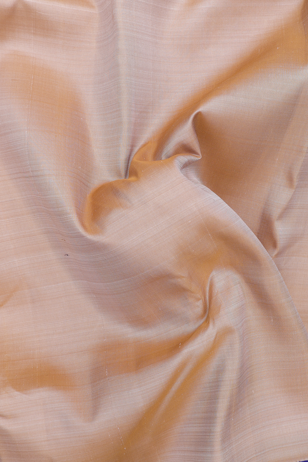 Kanchipuram Silk Saree In Brown With Korvai Border