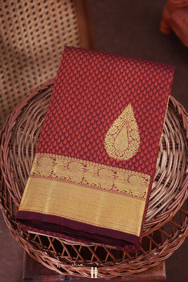 Kanchipuram Silk Saree In Coffee Brown With Jacquard Pattern
