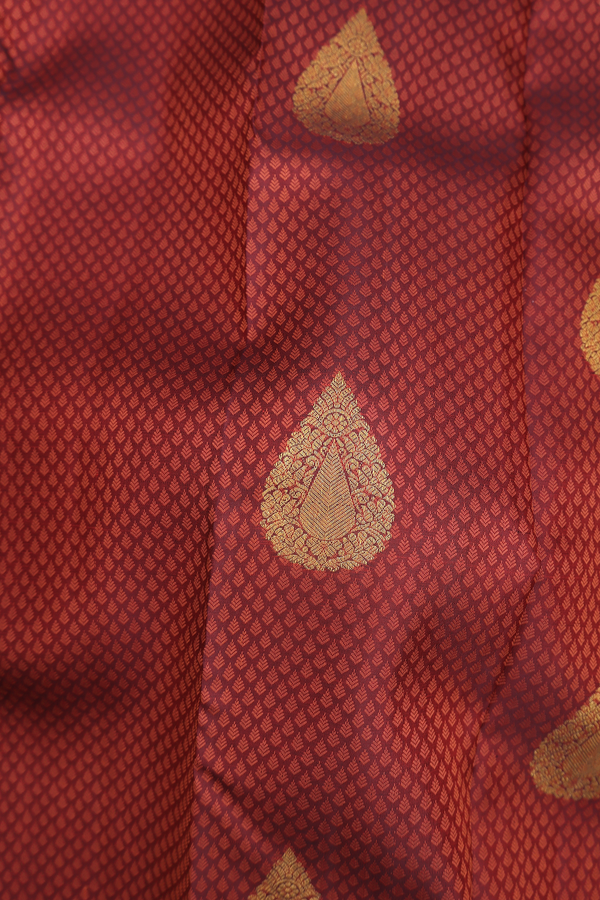 Kanchipuram Silk Saree In Coffee Brown With Jacquard Pattern