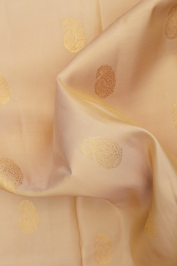 Kanchipuram Silk Saree In Cream Color With Paisley Motifs