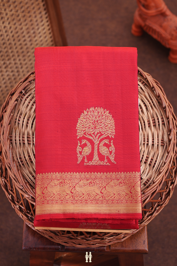 Kanchipuram Silk Saree In Crimson Red With Tree Motifs