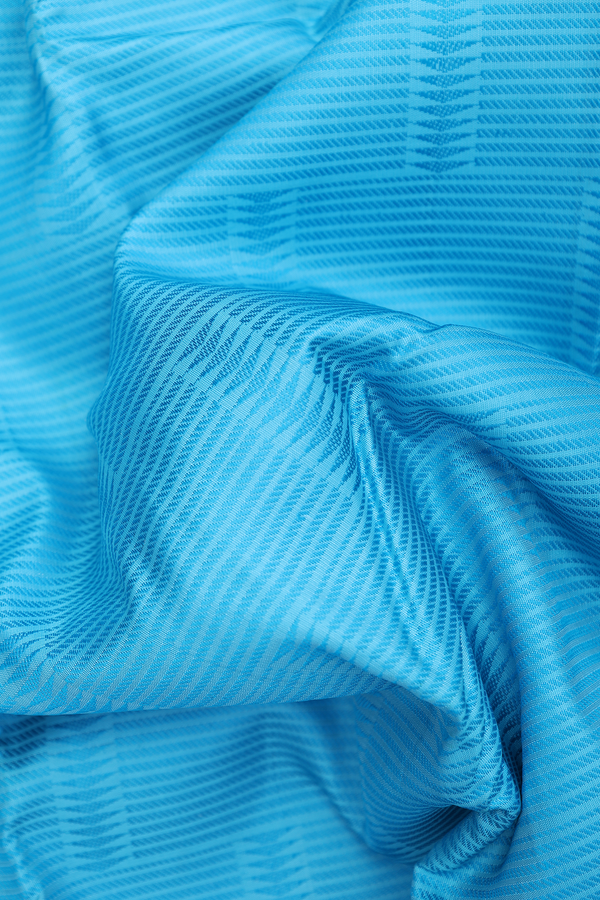 Kanchipuram Silk Saree In Deep Sky Blue With Jacquard Pattern