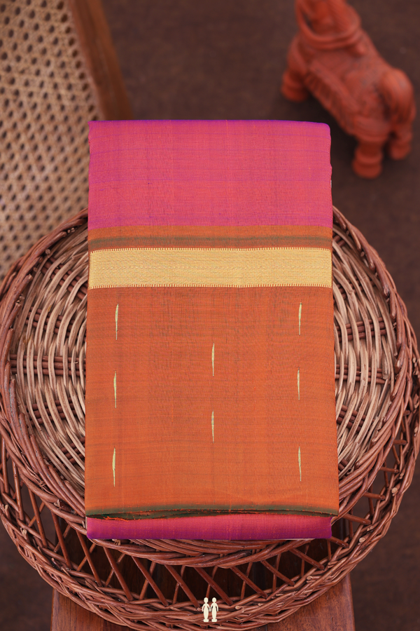 Kanchipuram Silk Saree In Dual Tone With Contrast Border