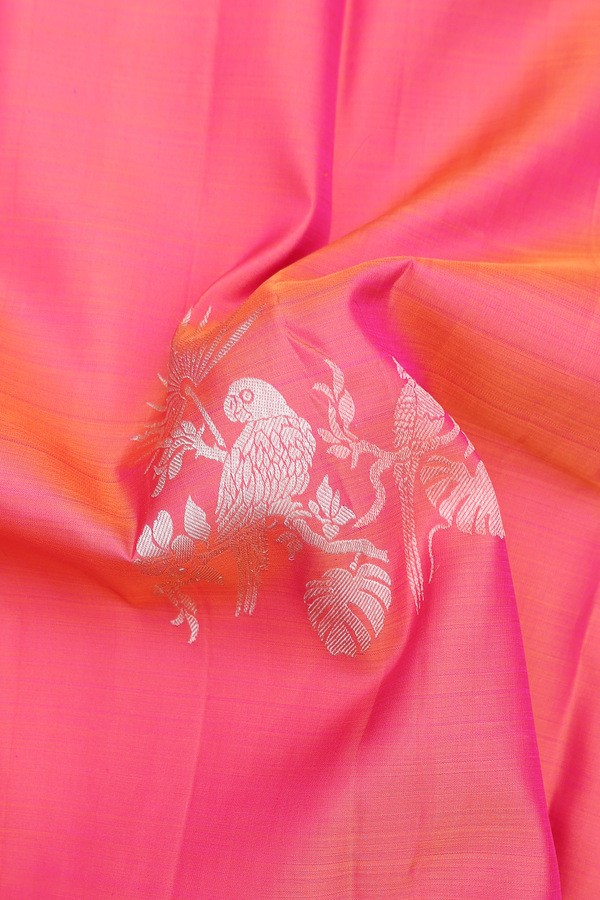 Kanchipuram Silk Saree In Coral Pink With Parrot Design