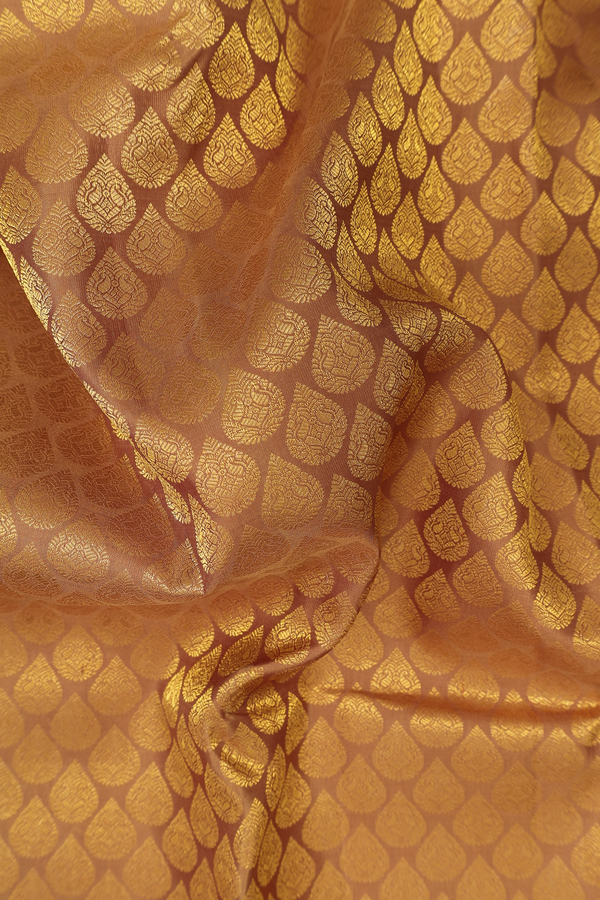 Kanchipuram Silk Saree In Golden Brown With Thilagam Buttas