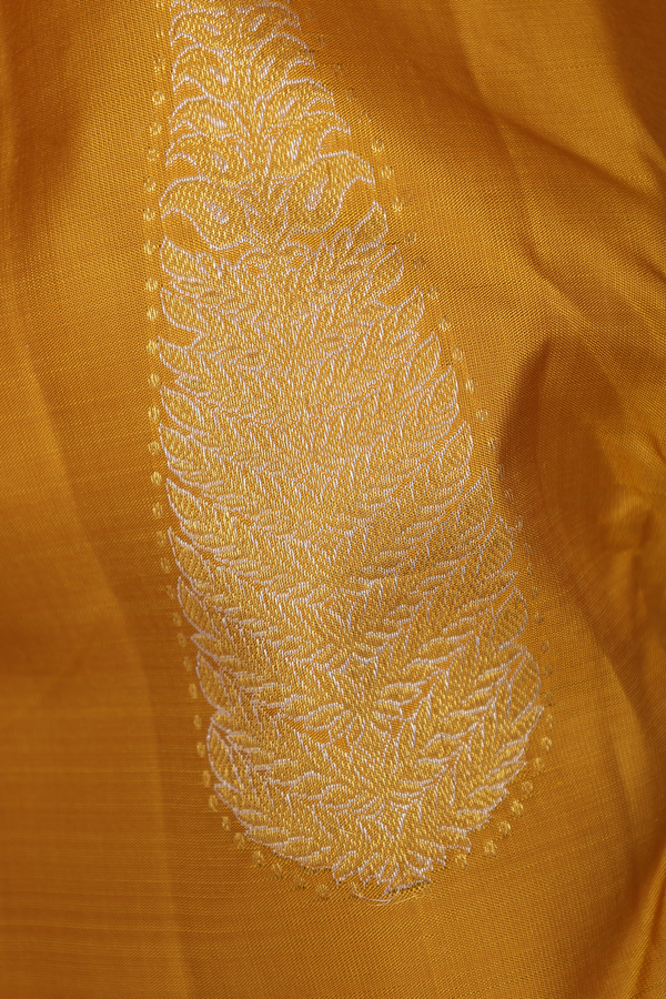 Kanchipuram Silk Saree In Golden Yellow With Zari Design