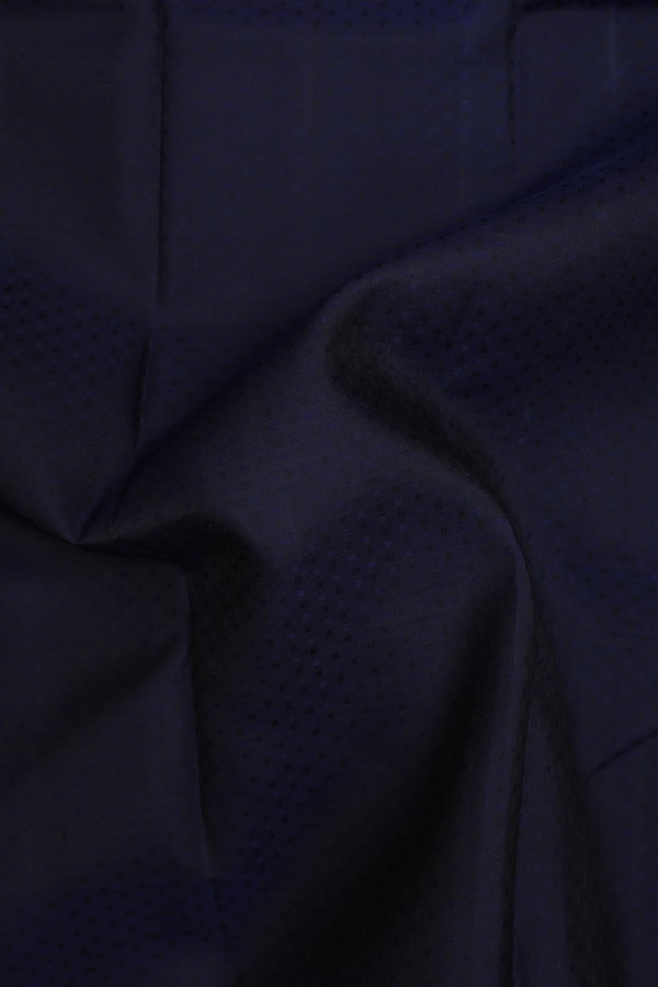 Kanchipuram Silk Saree In Navy Blue With Jacquard Pattern